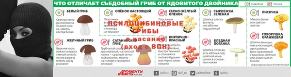 PSILOCYBIN Россошь