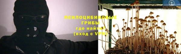не бодяженный Дмитров