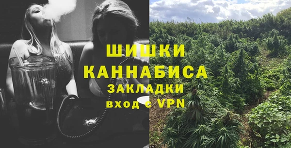 индика Дмитровск