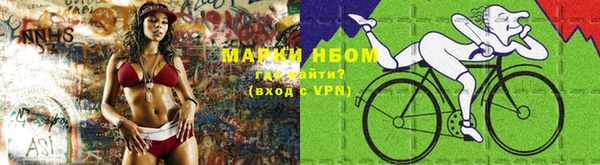 индика Дмитровск