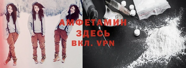 индика Дмитровск
