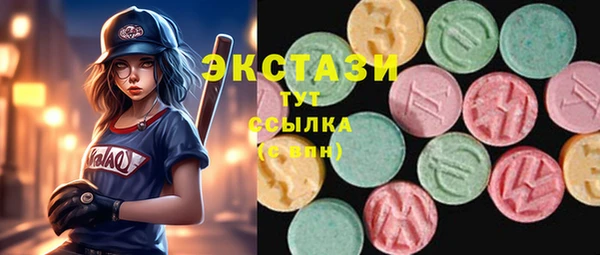 индика Дмитровск