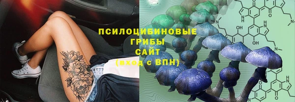 метадон Рославль