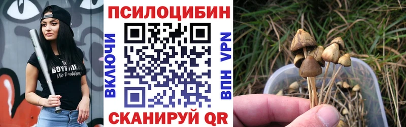 Галлюциногенные грибы прущие грибы  Сенгилей 